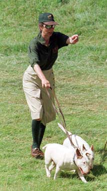 Buckingham negocia una indemnización para la camarera a la que atacó el bull terrier de la princesa Ana