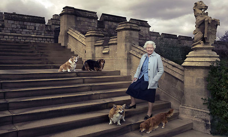 Isabel II pierde a uno de sus compañeros más fieles, su mascota 'Holly'