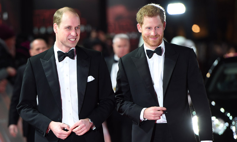 Guillermo y Harry de Inglaterra 