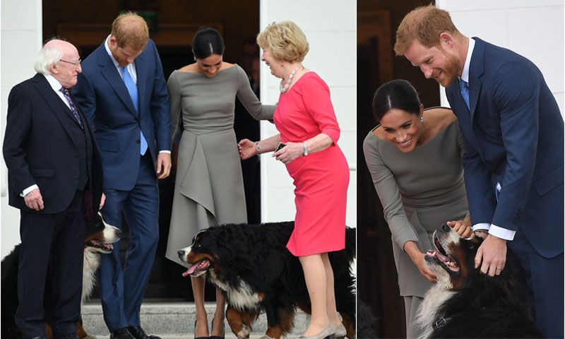 ¡Un mimo, por favor! Harry y Meghan en el recibimiento oficial que aún no habíamos visto