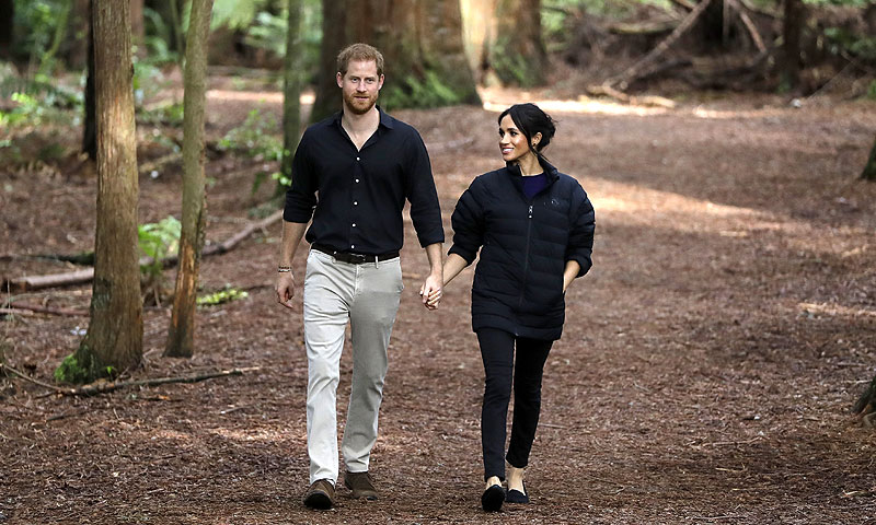 harry-meghan-hobbits2