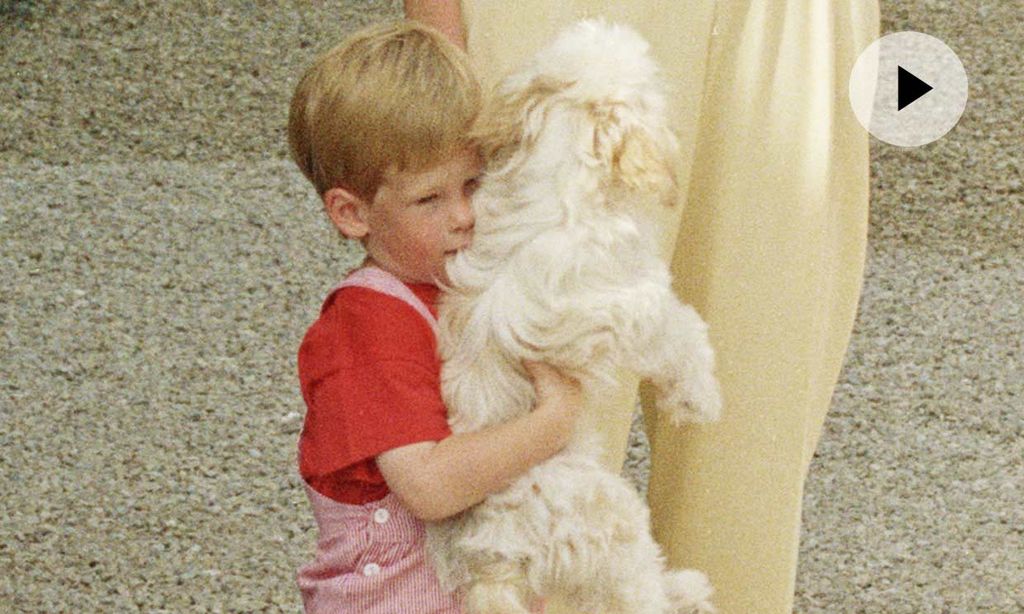 Así de adorable era el príncipe Harry cuando estuvo en España, ¿veremos a su bebé en nuestro país?