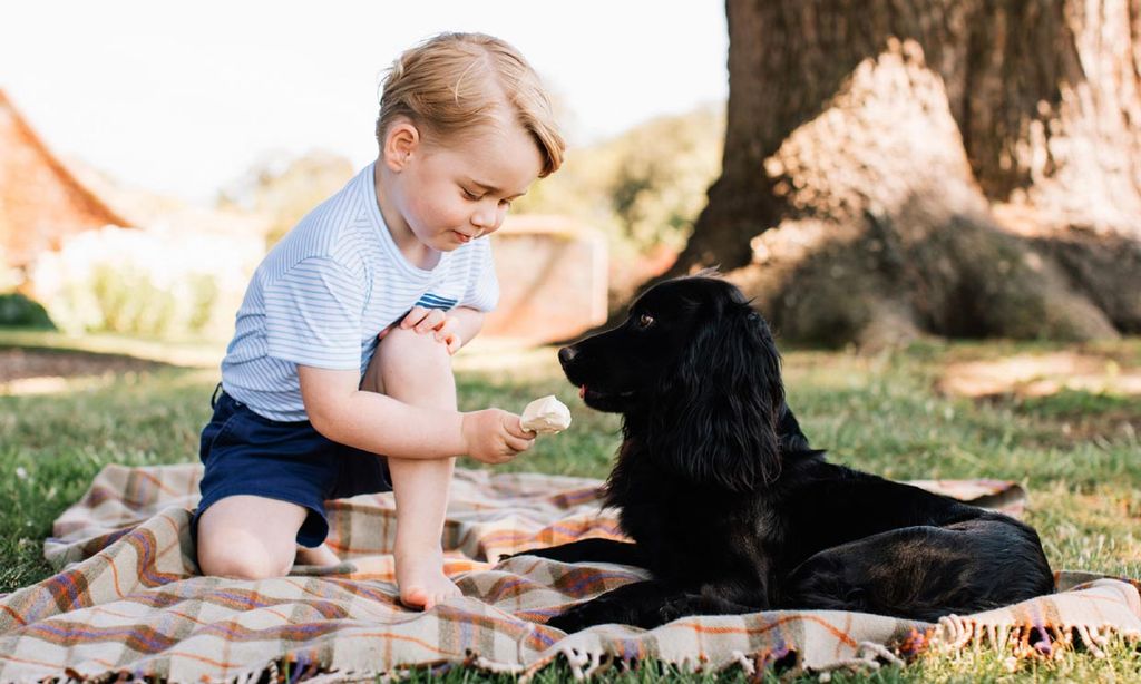 Palacio De Buckingham Acogera Una Exposicion Dedicada A Las Mascotas De La Familia Real Britanica