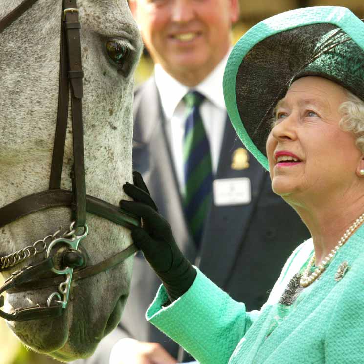 La Reina de Inglaterra cede un palacio a sus caballos en tiempo del coronaviurs