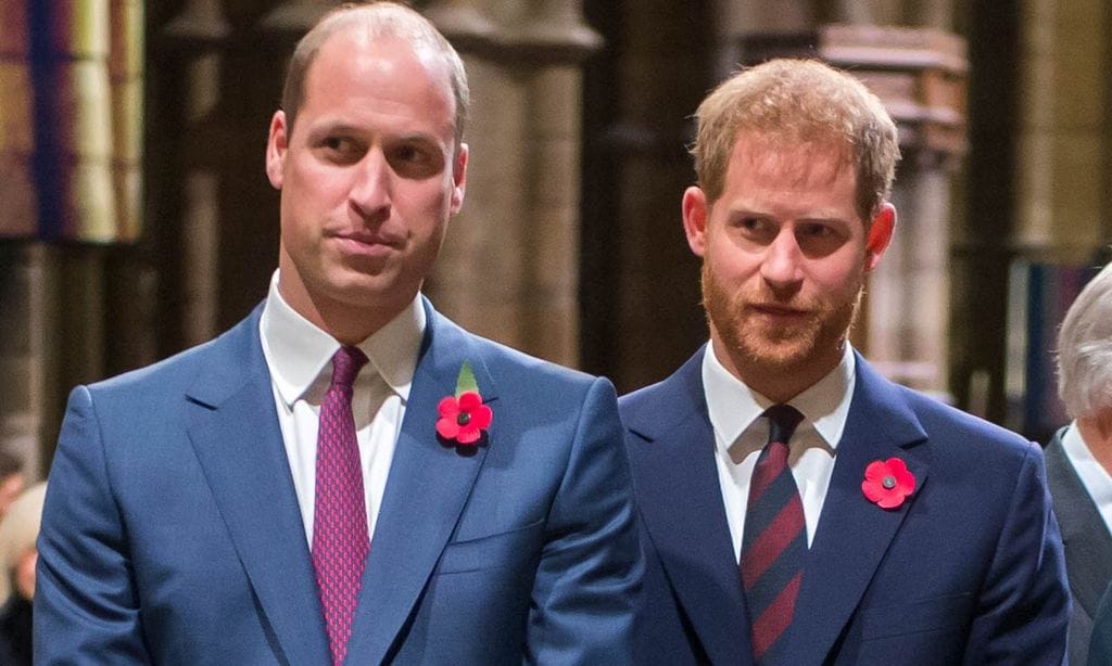 Los príncipes Guillermo y Harry, unidos para saber la verdad de la entrevista de su madre en la BBC