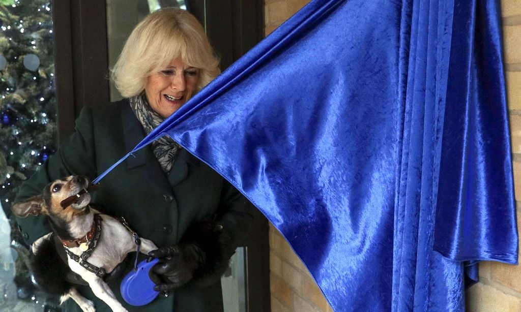 'Su Alteza Real' Beth, la mascota de la duquesa de Cornualles descubre una placa (y no es ficción)