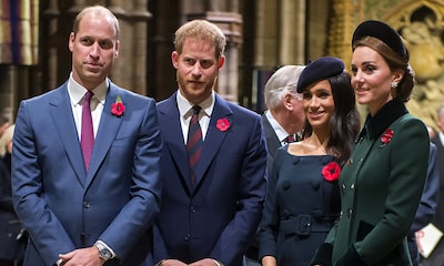 El tributo a Diana de Gales logra unir a los príncipes Guillermo y Harry en un importante acuerdo
