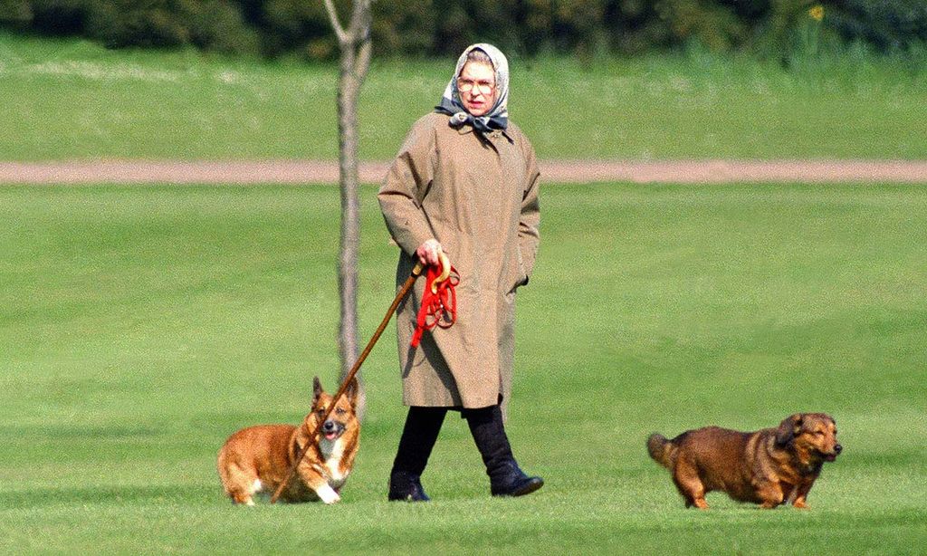 El último disgusto de Isabel II al fallecer Fergus, el cachorro que la acompañó en su soledad