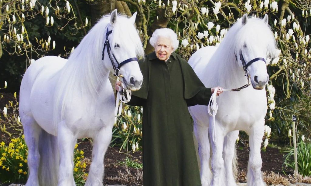 reina-isabel-caballos