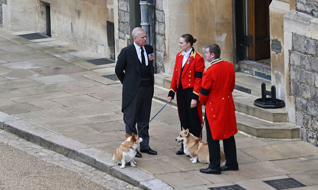 Perros de la reina Isabel II en su despedida en Windsor