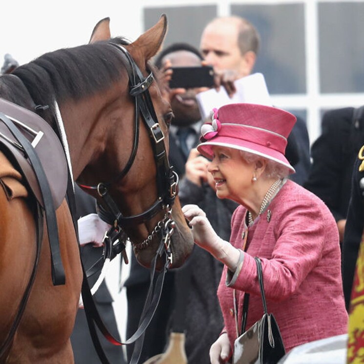 ¿Quién cuidará ahora de Emma? Así está la adorada poni de Isabel II tras el fallecimiento de la Reina