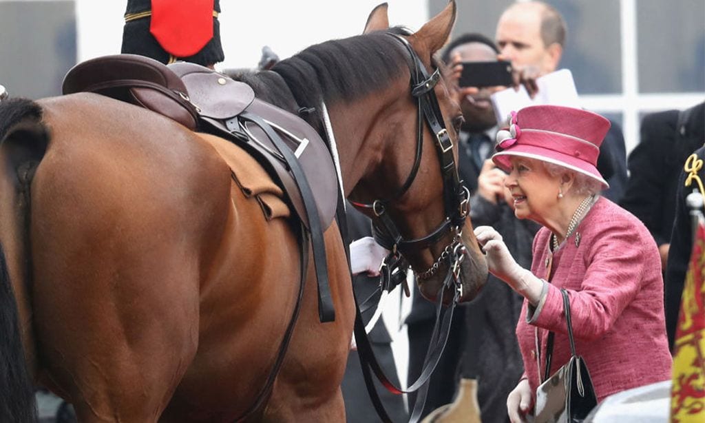 ¿Quién cuidará ahora de Emma? Así está la adorada poni de Isabel II tras el fallecimiento de la Reina