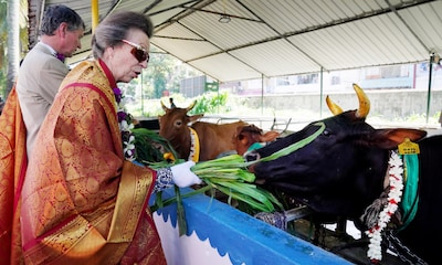 Las imágenes más simpáticas de la princesa Ana y su marido en Sri Lanka, ¡dando de comer a las vacas!