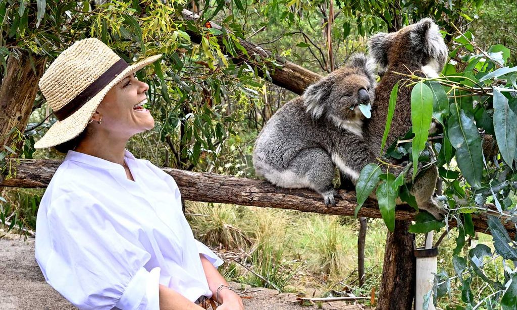 Victoria y Daniel de Suecia llegan a tierras australianas y son recibidos por... ¡dos koalas!