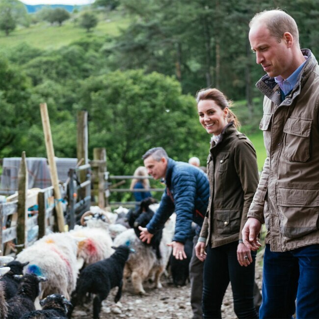 Kate Middleton and Prince William´s royal attempt to shear sheep