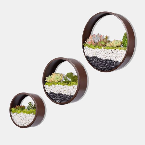 Macetero de pared