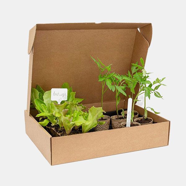 Set de cultivo