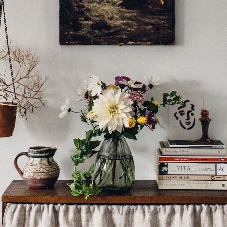 Plantas en casa