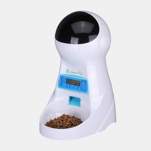 Comedero automático para gatos