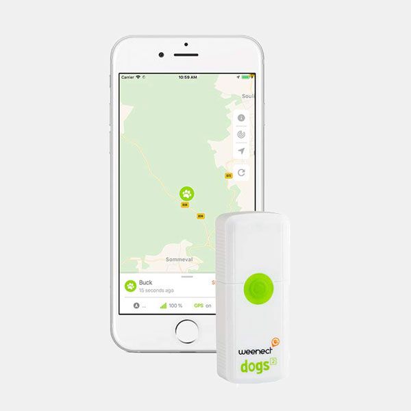 Localizador GPS para perros