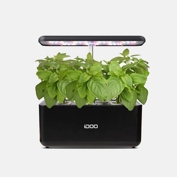 Una jardinera de interior