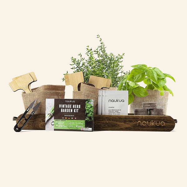 El kit más completo para cultivar aromáticas