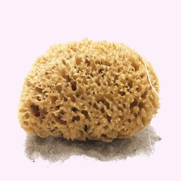 Las esponjas para la ducha mejor valoradas