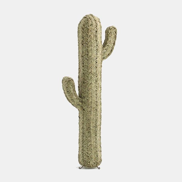 Un cactus decorativo