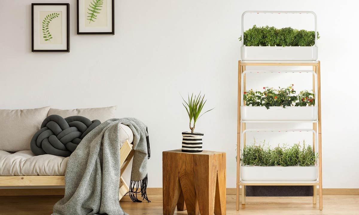 Cultivar en pisos pequeños es posible con estos huertos domésticos súper recomendados