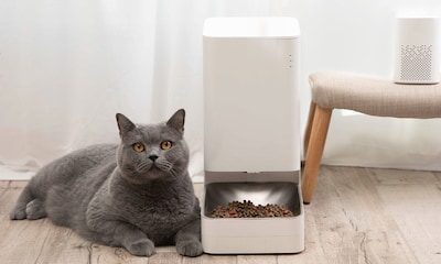 ¿Buscas un dispensador de comida para tu gato? Te enseñamos las opciones más prácticas
