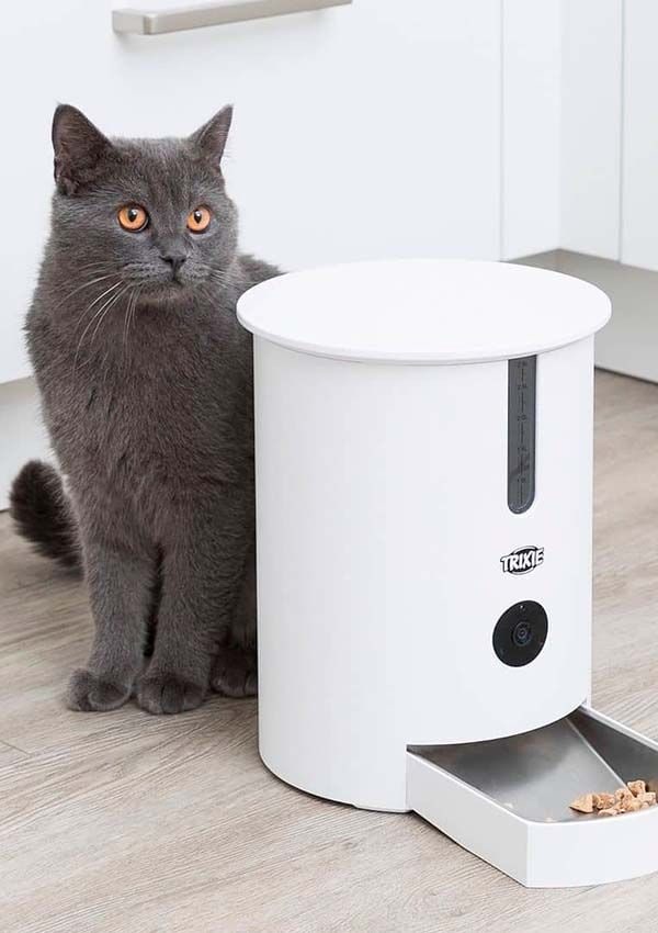 Dispensador de comida para gatos