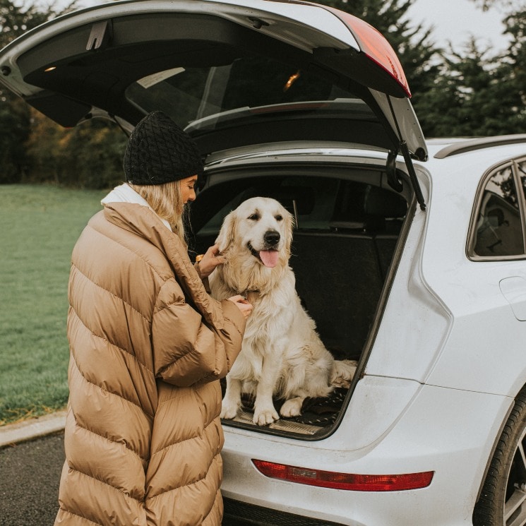 Mujer acariciando a su perro en la maleta de su coche