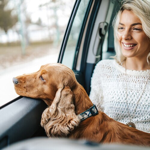 Mujer viajando en coche con su perro