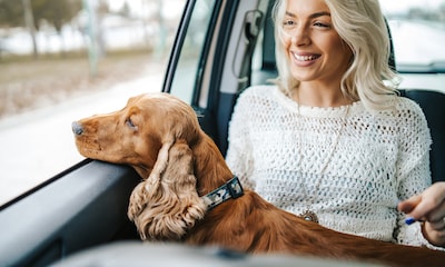 Hazte con el transportín más cómodo para viajar con tu perro a cualquier lugar