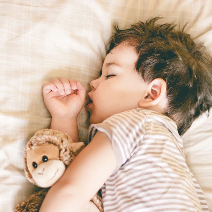 Niño durmiendo con peluche de mono