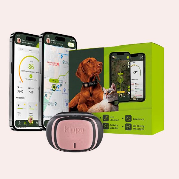 Weenect - GPS para mascotas