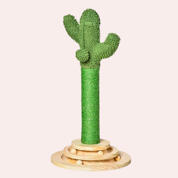 CACTUS