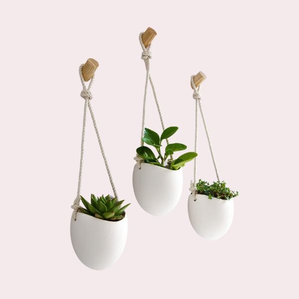 Cinco maceteros colgantes para que tus plantas de interior den vida a las  paredes de tu casa