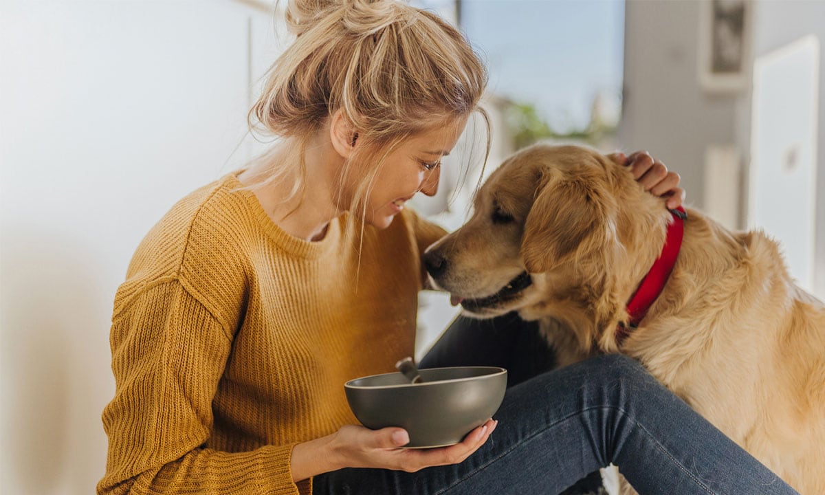 ¿Conoces los beneficios de los probióticos en perros? Esto es lo que dicen los expertos