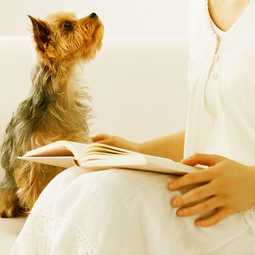 Una mujer leyendo con su perro