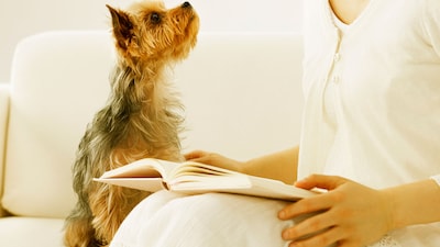 Si amas a tu perro, amarás estos libros imprescindibles