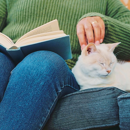 Una mujer leyendo con su gato