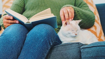 Estos son los libros que como amante de los gatos deberías leer