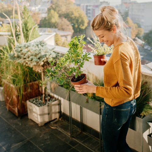 Mujer cuidando plantas de exterior