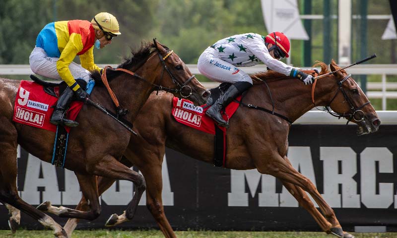 El Premio ¡HOLA! se celebra este próximo sábado en el Hipódromo de Madrid