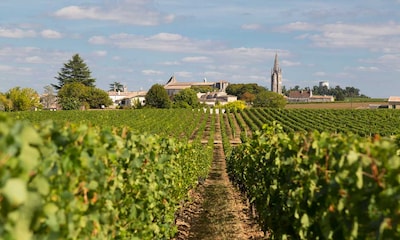 Saint-Émilion: un destino único para los amantes del vino