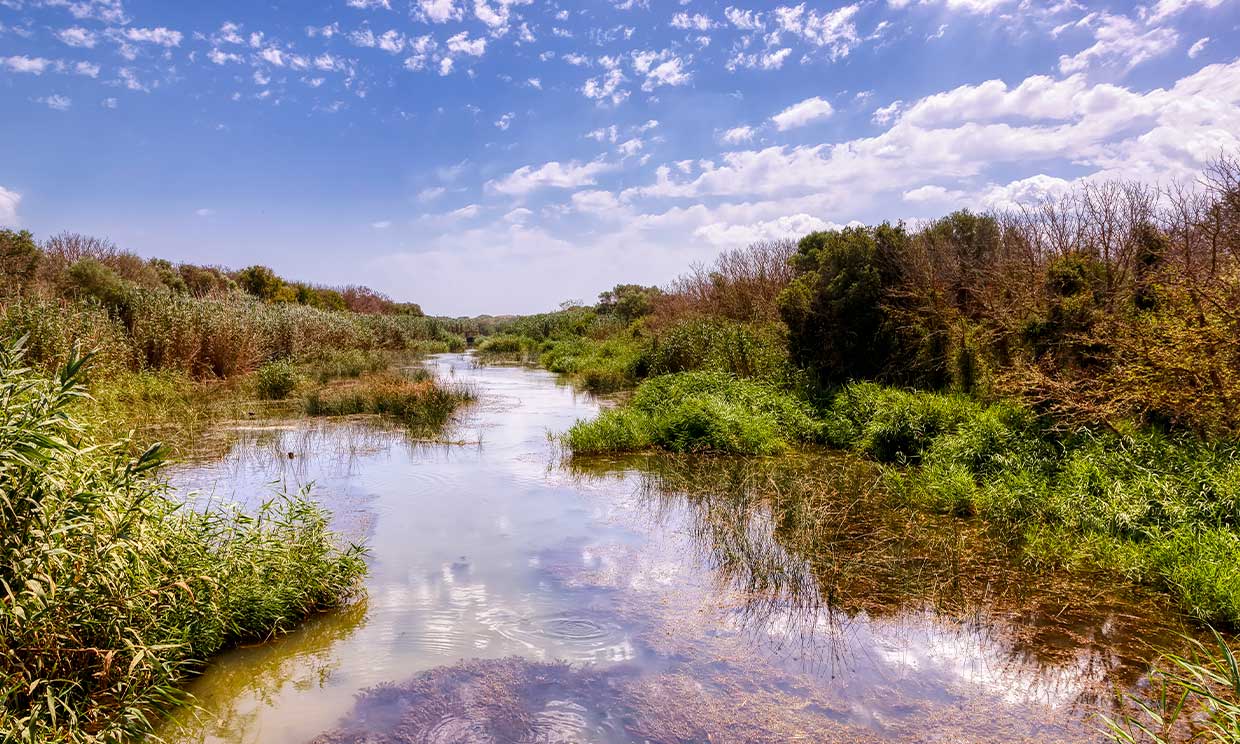 S´Albufera, una marisma de aires míticos en la isla de Mallorca