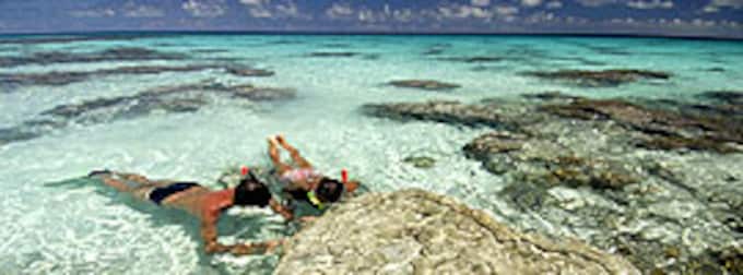 Busca perlas negras bajo las aguas de Tahití