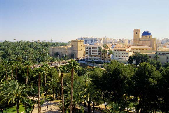 Domingo de palmas en Elche