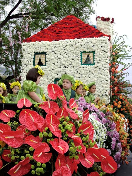 Fiesta de la flor en Madeira